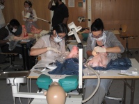 Practising on Pigs' Heads