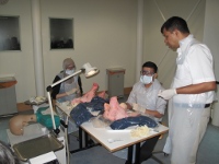 Practising on Pigs' Heads