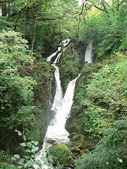 Stock Ghyll by Flickr User Foshie