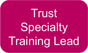 Trust Specialty Training Lead