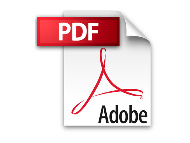 PDF icon